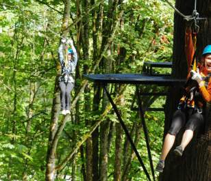 ZipTour header