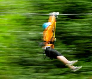 Zip Tour