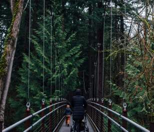 Bellevue Botanical Garden Winter