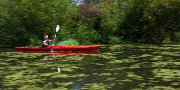 Kayaking on Mercer Slough