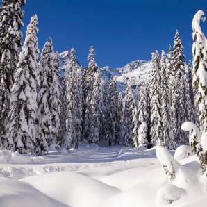 Snoqualmie Snowshoeing