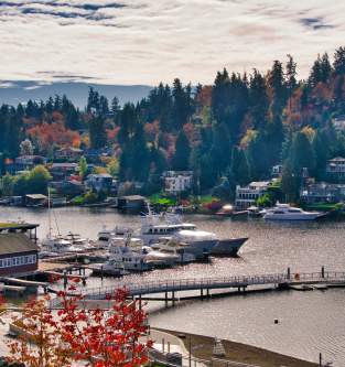 Fall in Bellevue