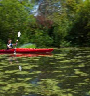Kayaking on Mercer Slough