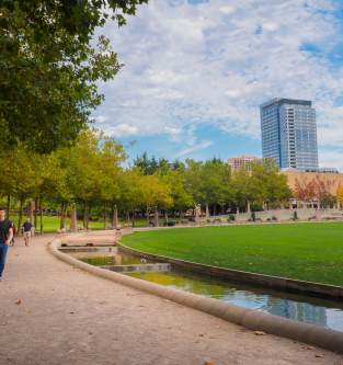 Walking around Downtown Park