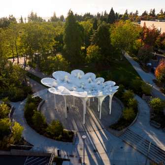 Piloti Bellevue Downtown Park