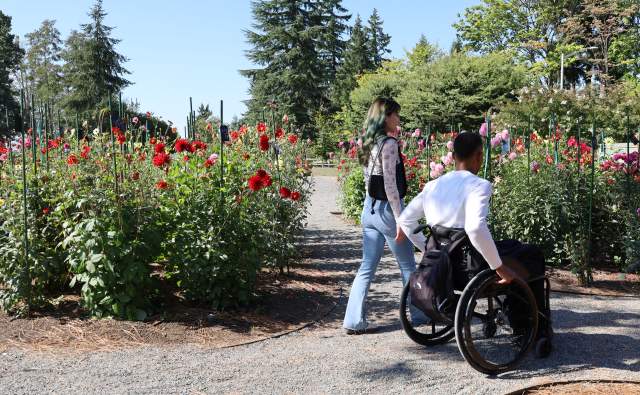 Adaptive Recreation and Experiences in Bellevue