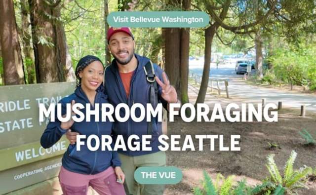 Mushroom Foraging in the Pacific Northwest | The Vue