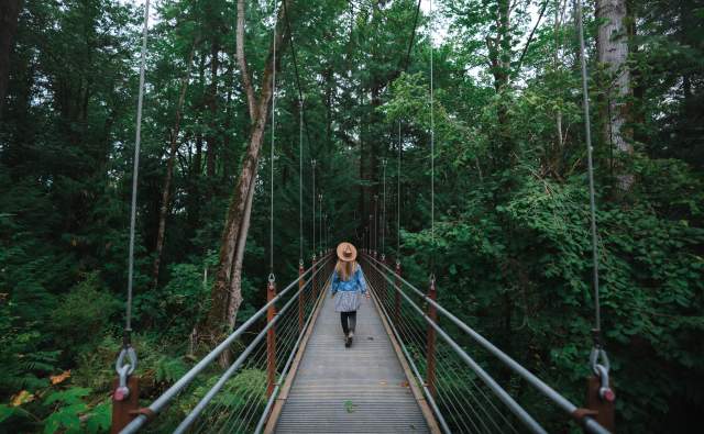 Guide to Visiting the Bellevue Botanical Gardens