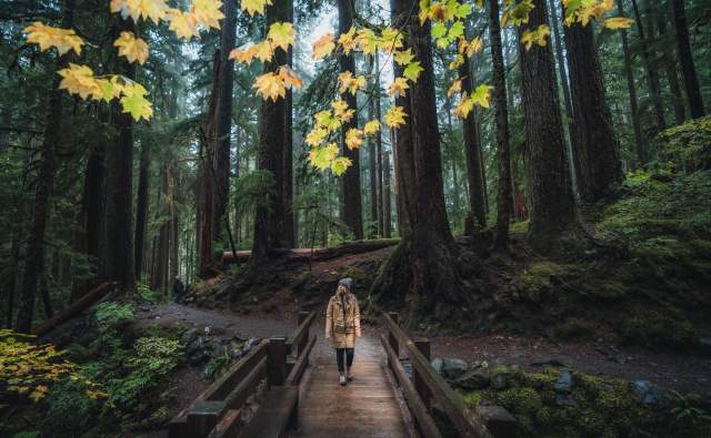 Hiking Necessities for Washington State Trails near Bellevue