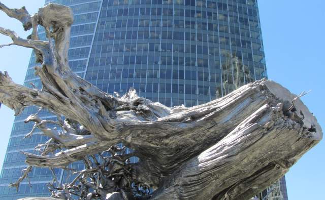 The Public Art in Bellevue You Have To See