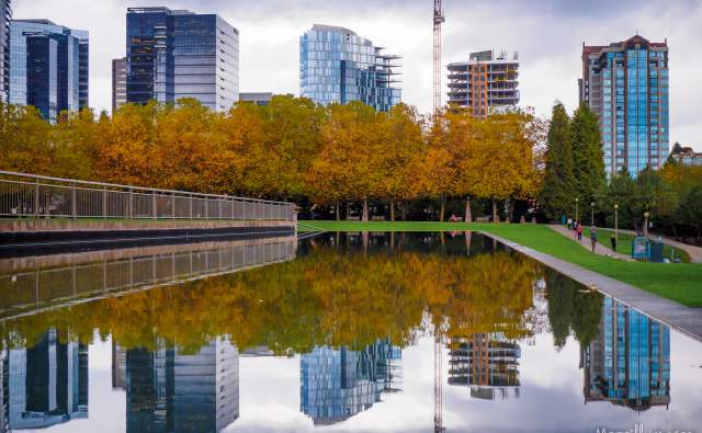 Bellevue Downtown Park Skyline and Pond