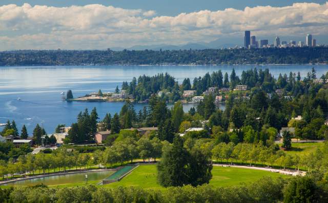Bellevue + Seattle Skyline