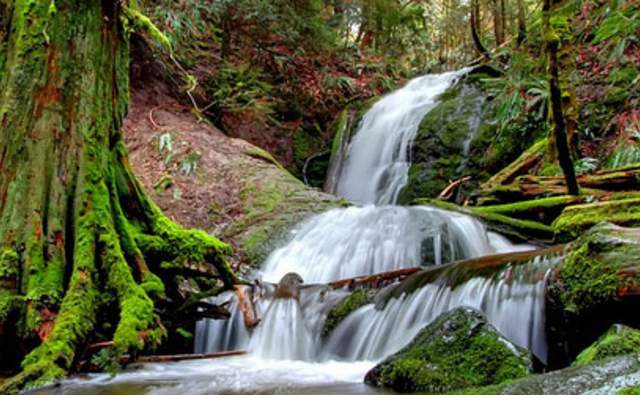 Coal Creek