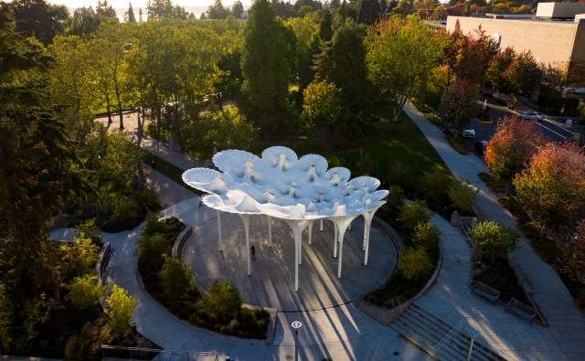 Piloti Bellevue Downtown Park