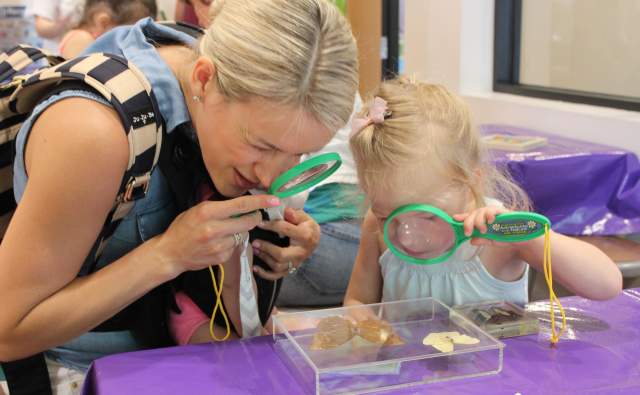STEM Adventures: Kid-Friendly Activities