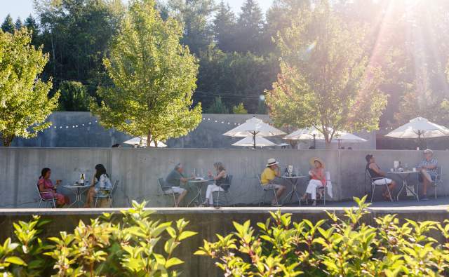 Lush green trees soften the concrete patio where people are enjoying wine under the shade of white umbrellas