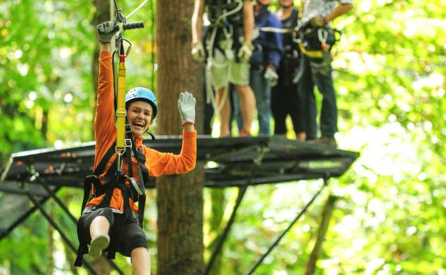 Things to do in Bellevue