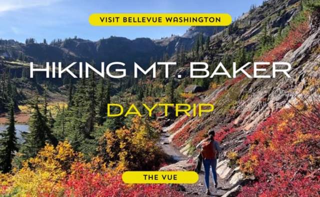 The Vue | Mt. Baker Day Trip