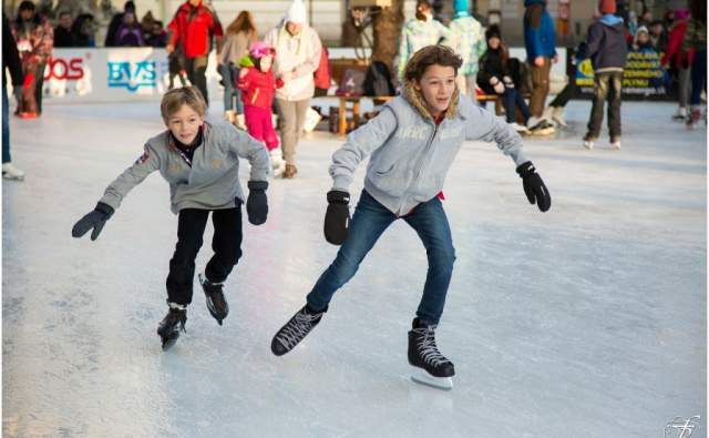 November in Bellevue: Events, Food & Fall Adventures