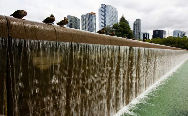 Bellevue Downtown Park