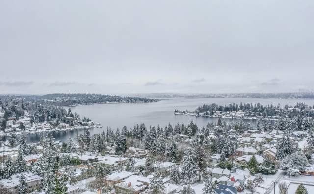 Things to Do in Bellevue This January