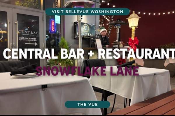 Holiday Cocktails & Snowflake Lane at Central Bar