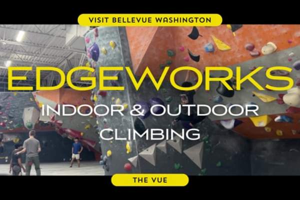 The Vue | Climbing to New Heights