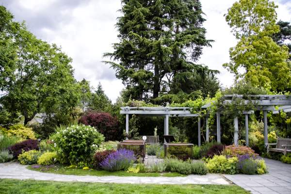 Fresh Air, Fresh Ideas: Exploring Collaborative Outdoor Meeting Spaces in Bellevue