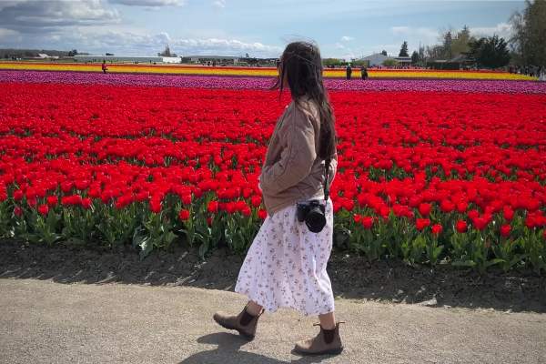 Skagit Valley Day Trip from Bellevue, WA | The Vue