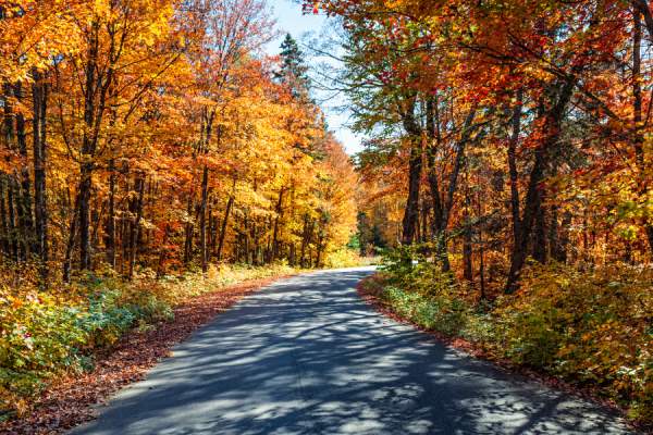 Leaf Peepers and Cultural Seekers Unite!  Bellevue is Your Town