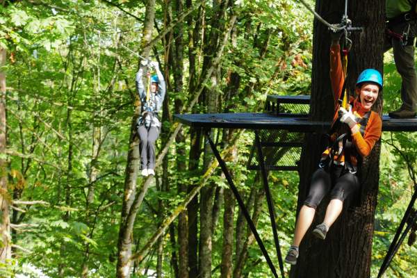 Team-Building Adventures: Bellevue Zip Line Tours and Aerial Adventure Play Days