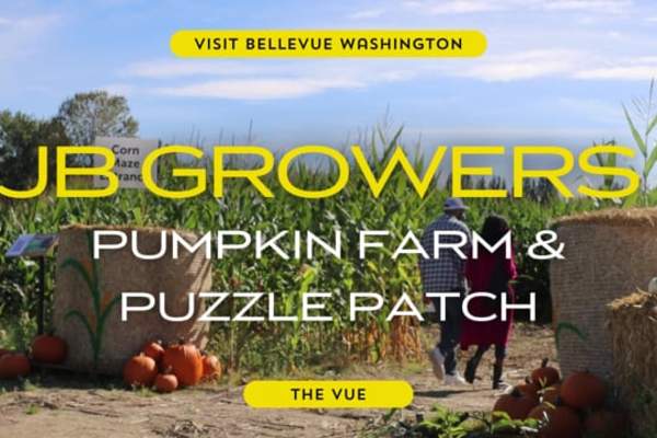 The Vue | JB Growers Pumpkin Farm & Puzzle Patch