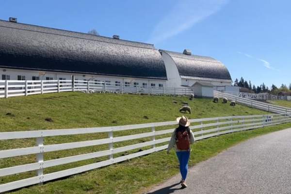 The Vue | Kelsey Creek Farm