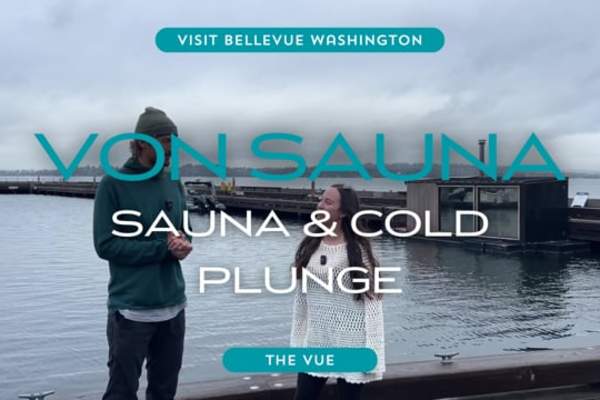 The Vue | Von Sauna