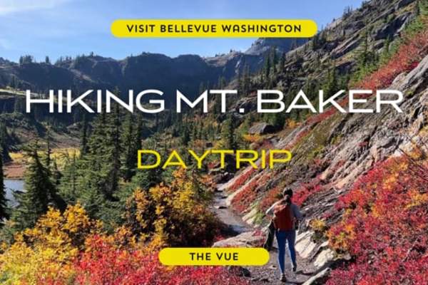 The Vue | Mt. Baker Day Trip