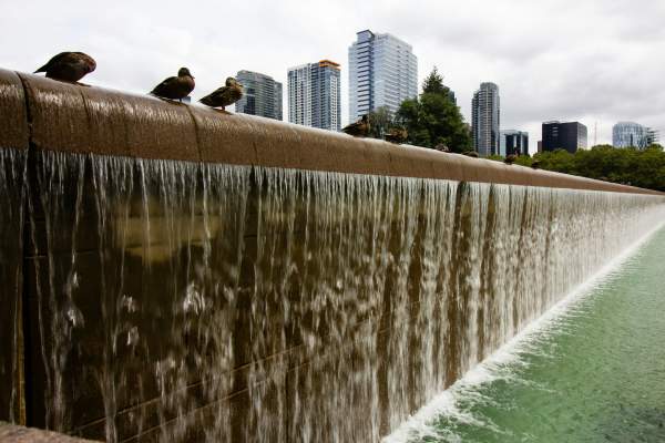 Bellevue Downtown Park