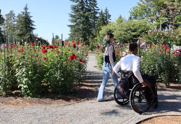 Wheelchair Accessible Bellevue Botanical Garden