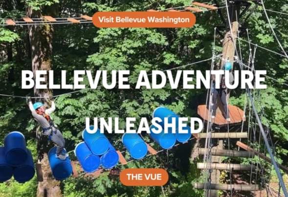Bellevue Adventures Unleashed