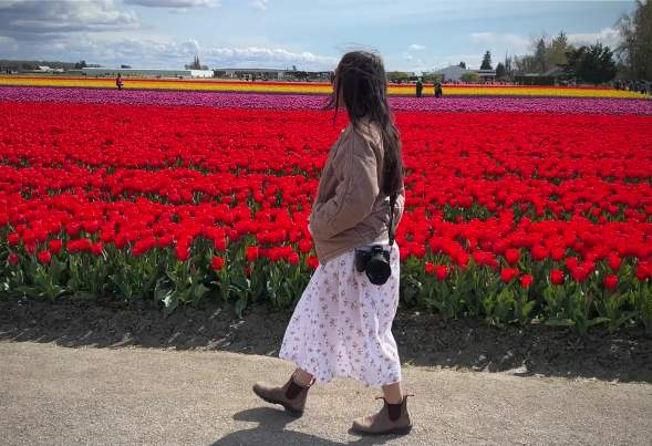 Skagit Valley Day Trip from Bellevue, WA | The Vue