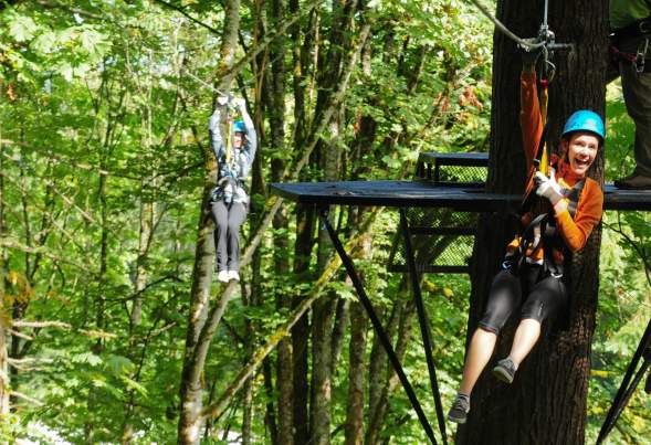 ZipTour header