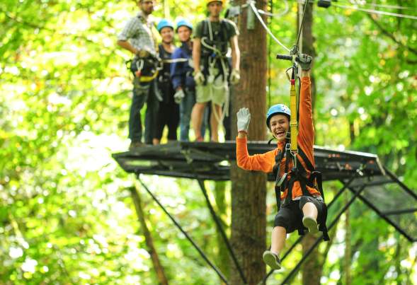 Zip Tour