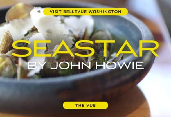 The Vue | SeaStar by John Howie