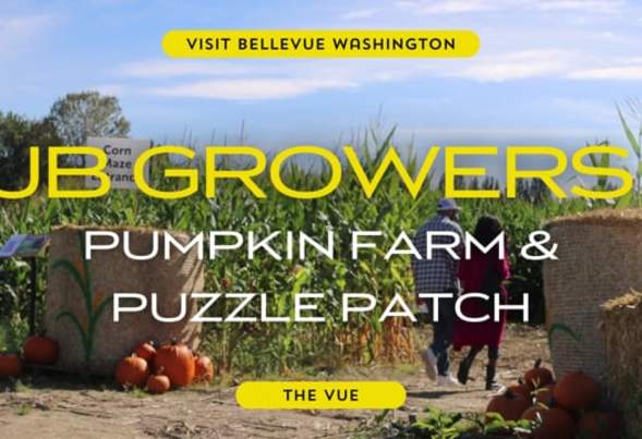 The Vue | JB Growers Pumpkin Farm & Puzzle Patch