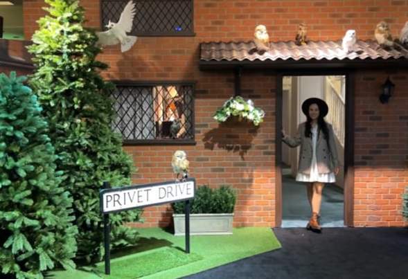 The Vue | Harry Potter: Magic at Play