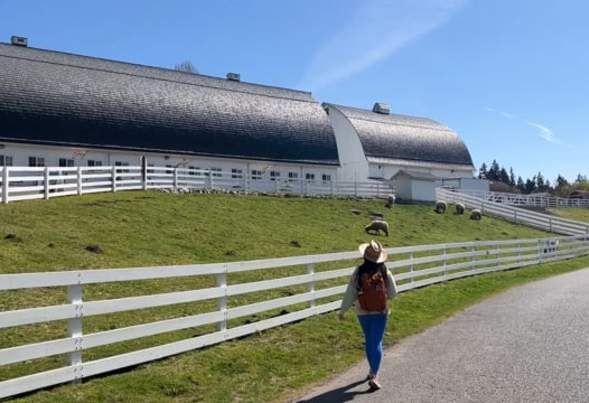The Vue | Kelsey Creek Farm