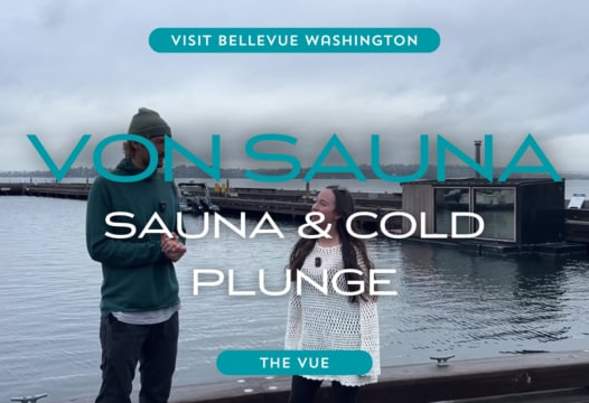 The Vue | Von Sauna