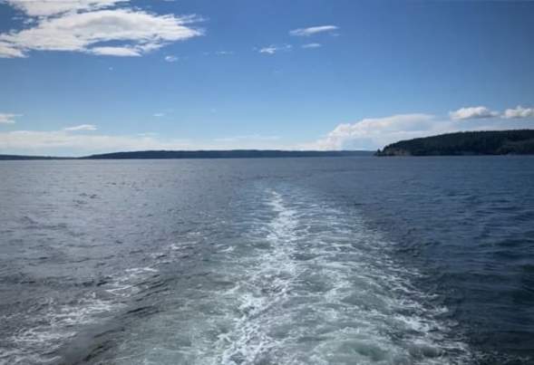 The Vue: Whale Watching With Kara