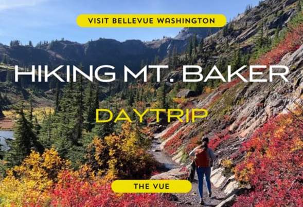 The Vue | Mt. Baker Day Trip