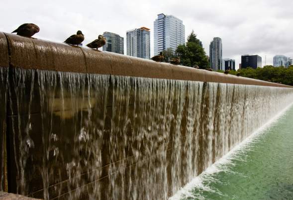 Bellevue Downtown Park