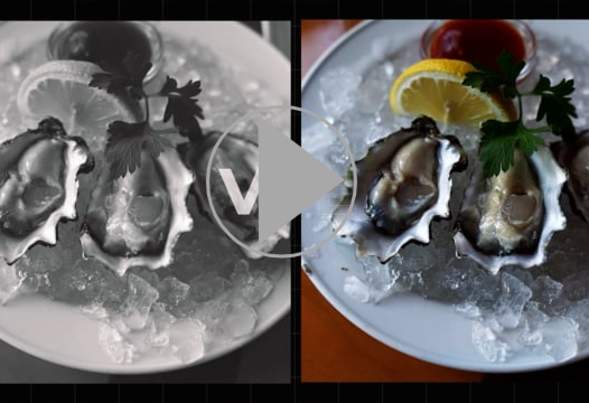 The Vue: Duke's Seafood